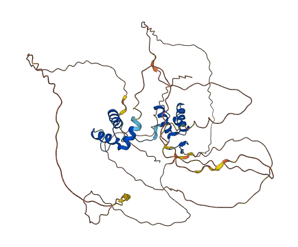 PAX1 3D structure