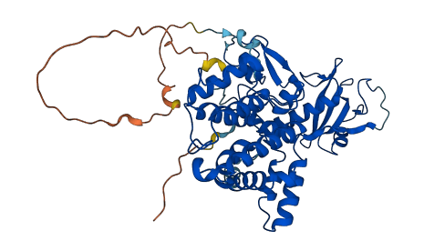 CHN1 3D structure