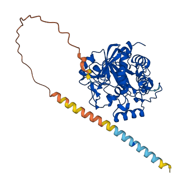 ST6GAL1 3D structure