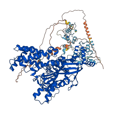 RAG1 3D structure