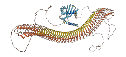 MUC1 3D structure