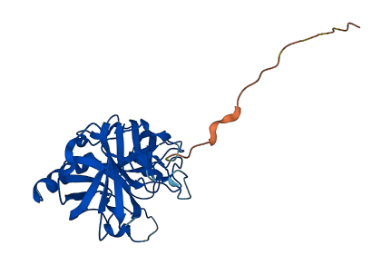 Klk1b5 3D structure
