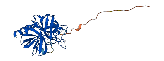 Klk1b11 3D structure