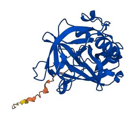 Klk1b22 3D structure