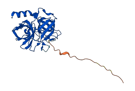 Klk1b9 3D structure