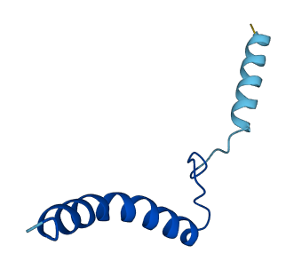 COX7C 3D structure