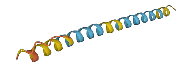 Phxr2 3D structure