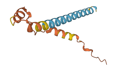 Phxr4 3D structure