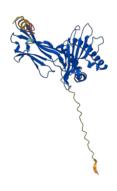 RT1-Aw2 3D structure