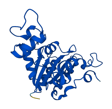 NQO2 3D structure