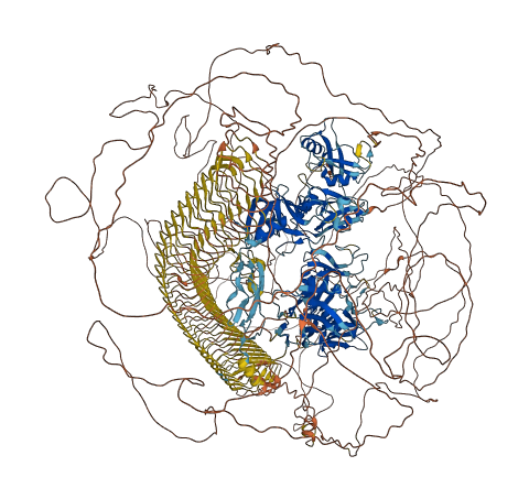 ACAN 3D structure