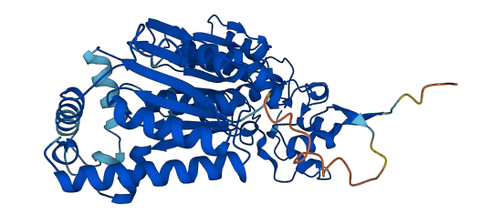 PFKFB1 3D structure