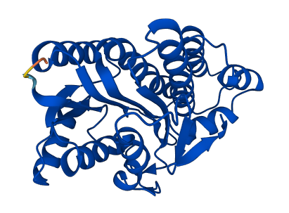 CBR1 3D structure