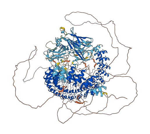 ANK1 3D structure