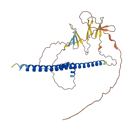 CREB1 3D structure