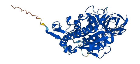 PNLIP 3D structure