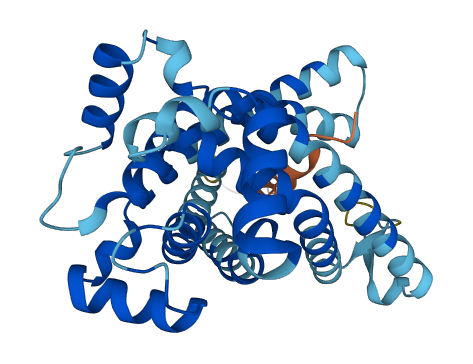 SLC25A16 3D structure
