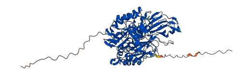 GLB1 3D structure
