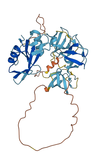 NCK1 3D structure