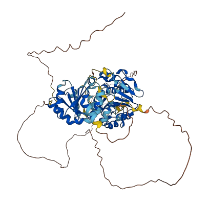 D1Pas1 3D structure