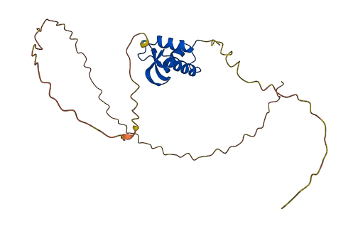H1-5 3D structure
