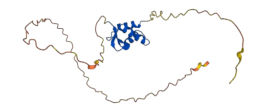 H1-3 3D structure