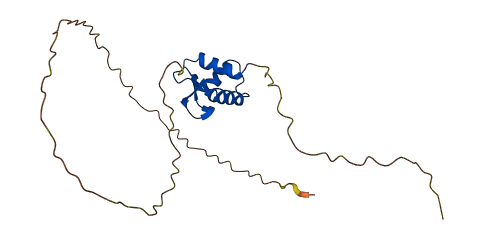 H1-2 3D structure