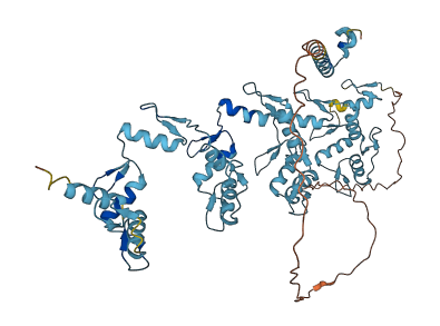ZNF823 3D structure