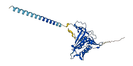 EPCAM 3D structure