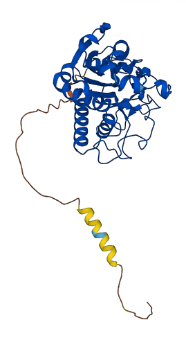 ABO 3D structure