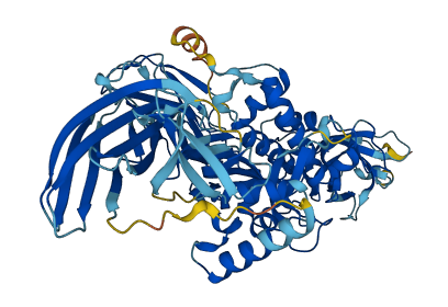 EPB42 3D structure