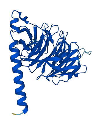 GNB3 3D structure