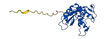 CRISP2 3D structure