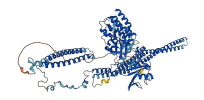FER 3D structure