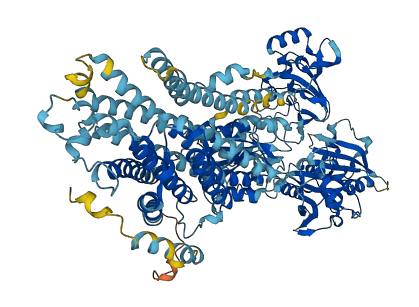 ATP2A2 3D structure