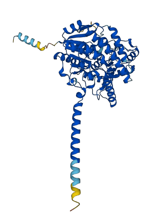 UGT2B7 3D structure