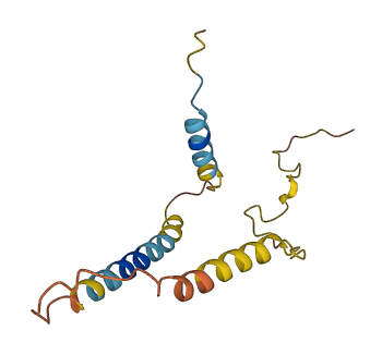 NPPB 3D structure