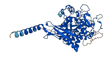 CPE 3D structure
