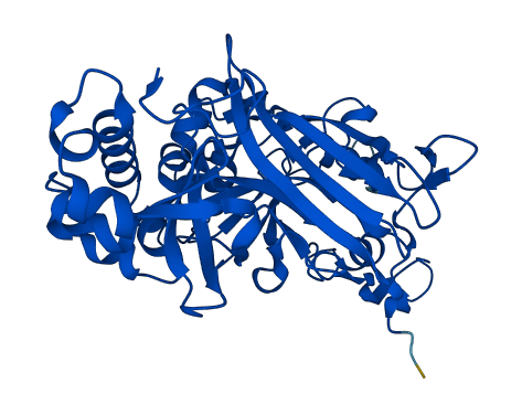 FAH 3D structure