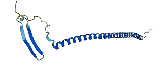 STMN1 3D structure