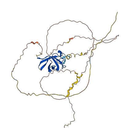 YBX3 3D structure