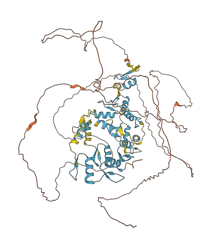 ZFX 3D structure