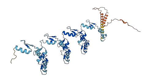 ZNF708 3D structure