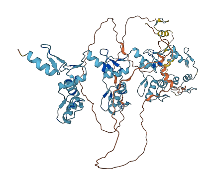 ZNF16 3D structure