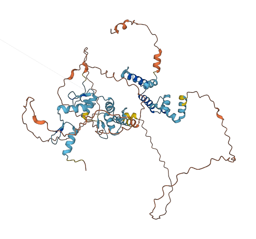 ZNF18 3D structure