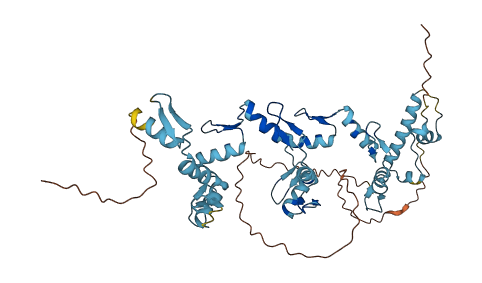 ZNF19 3D structure