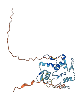 ZNF22 3D structure