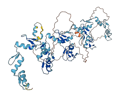 ZNF23 3D structure
