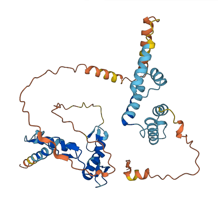 ZNF24 3D structure