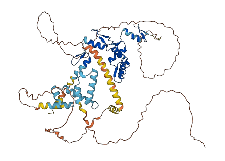 ZKSCAN1 3D structure